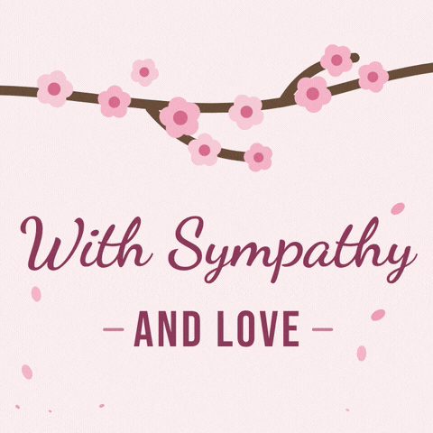 With Sympathy Cherry Blossom Petals With sympathy and love cherry blossom branch with pink petals drifting down on pale pink