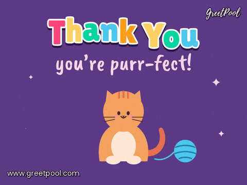 Thank You Purr Fect Cat Thank you in hopping multicolour letters, you're purr-fect, above an orange cat swishing its tail