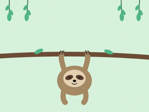 Thank You Slow Sloth Thank you! appearing slowly, sorry I'm slow, as a sleepy sloth hangs and sways from a jungle branch