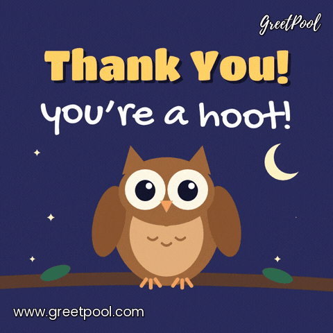 Thank You Youre A Hoot Owl Thank you! You're a hoot pun with a brown owl on a branch tilting its head under the moon at night