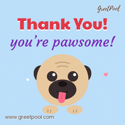 Thank You Youre Pawsome Pug Thank you! You're pawsome pun with a happy pug bobbing its head and sticking its tongue out
