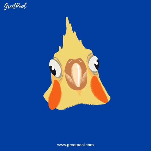 Wide-eyed bird reacting with You Remembered, animated funny thank you GIF