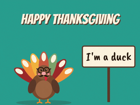 Happy Thanksgiving turkey in glasses, fake nose and moustache darting its eyes beside an I'm a duck sign