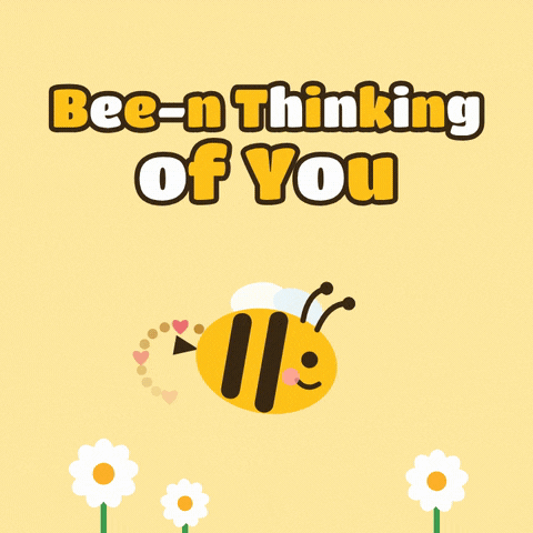 Bee N Thinking Of You Bee-n thinking of you bumblebee buzzing in a loop over white daisies on honey yellow