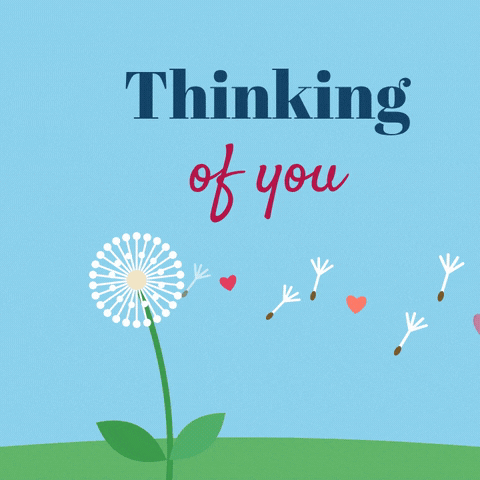 Thinking of you dandelion seeds and little hearts drifting across a blue sky like wishes
