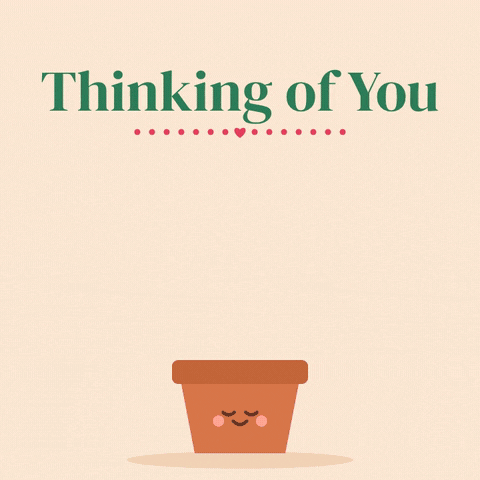 Thinking of you potted plant growing heart shaped leaves and a big red heart bloom