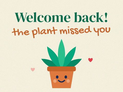 Welcome back, the plant missed you message with a smiling office plant waving its leaves